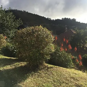 bungalows-do-amparo.madeira-islandshotels.com/